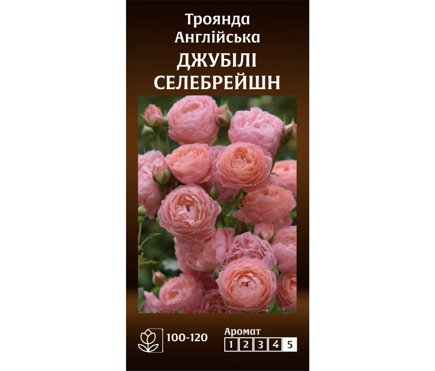 Знімок екрана 2025-03-18 093750