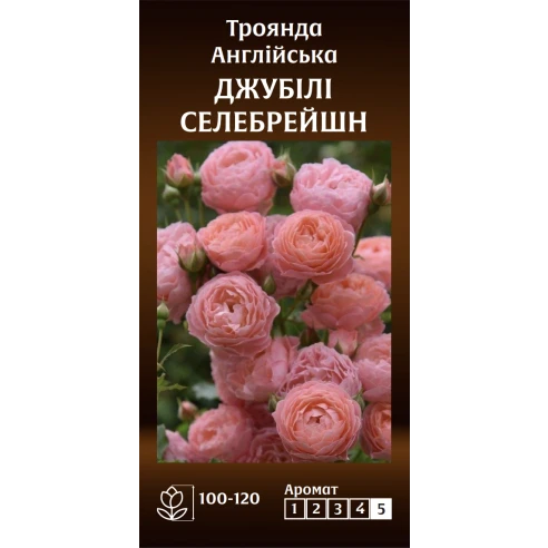 Англійська Джубілі Селебрейшн