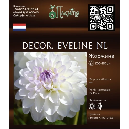 Decor. Eveline NL