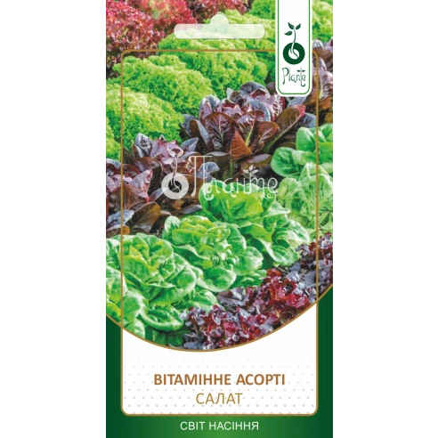 Салат "Вітамінне асорті"