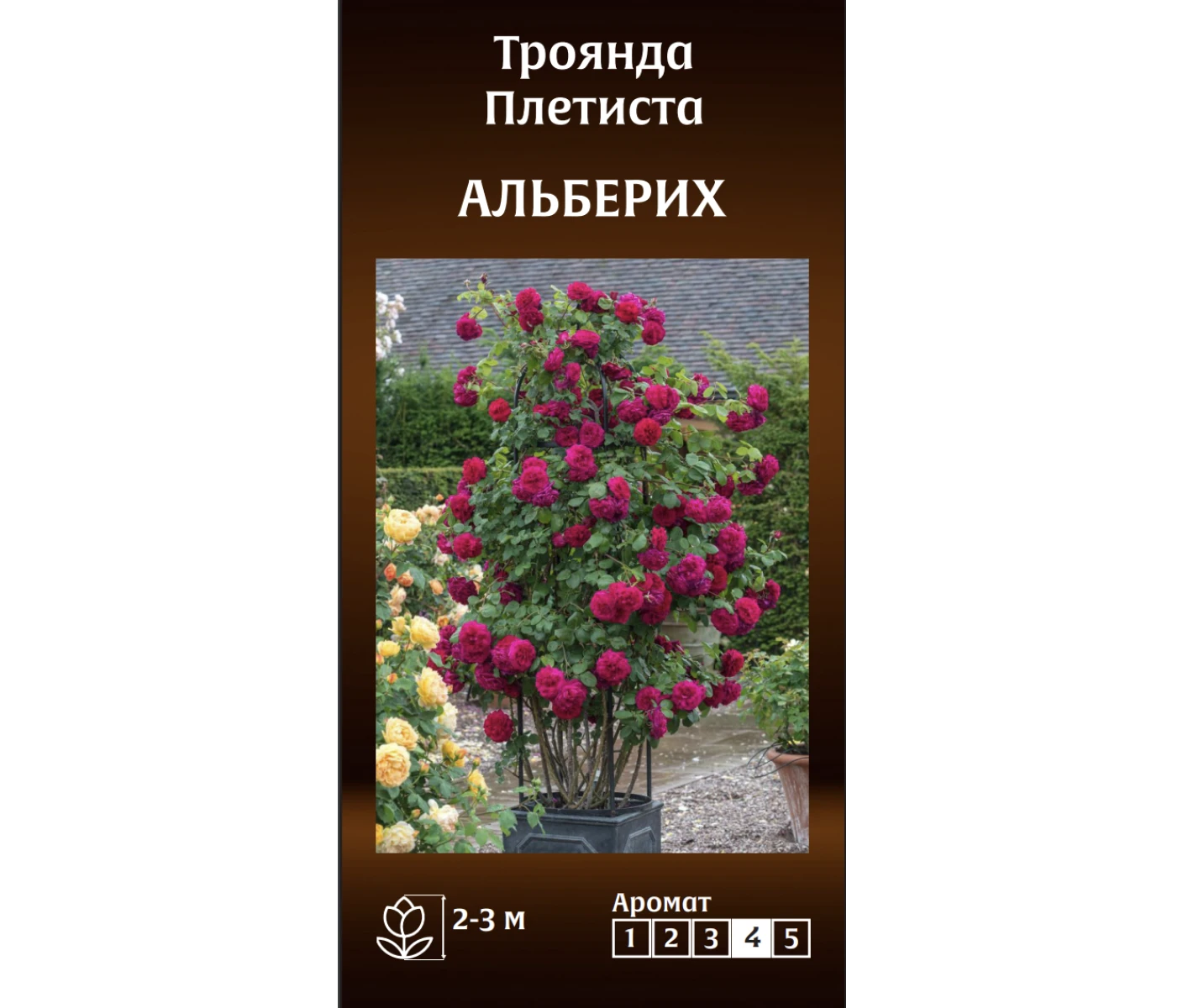 Знімок екрана 2025-03-18 093106