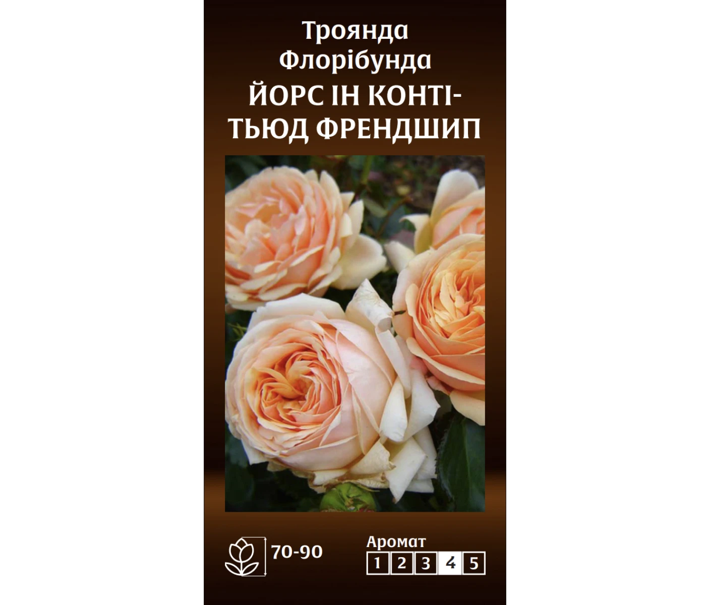 Знімок екрана 2025-03-18 090609