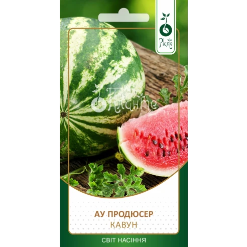 Кавун "АУ Продюсер"