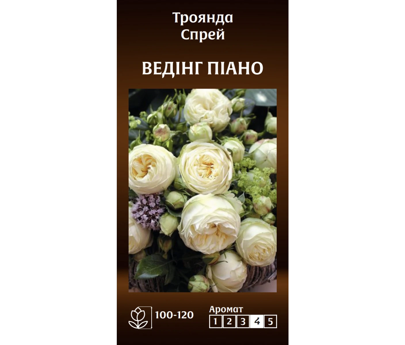 Знімок екрана 2025-03-18 091506