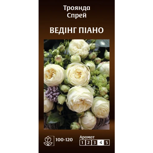 Спрей Ведінг Піано