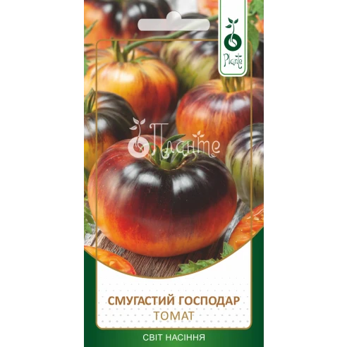 Томат "Смугастий господар"