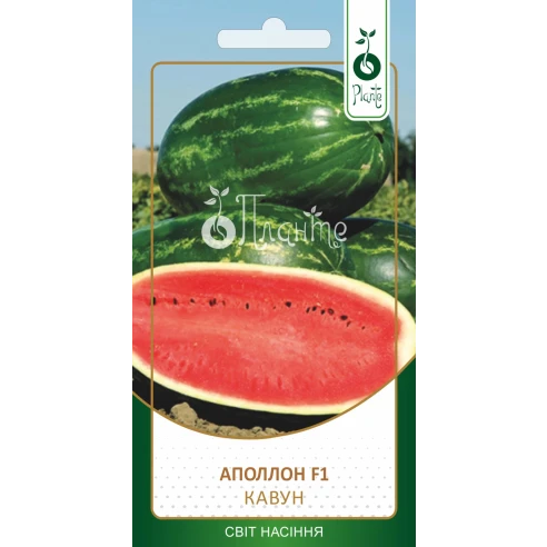 Кавун "Аполлон F-1"