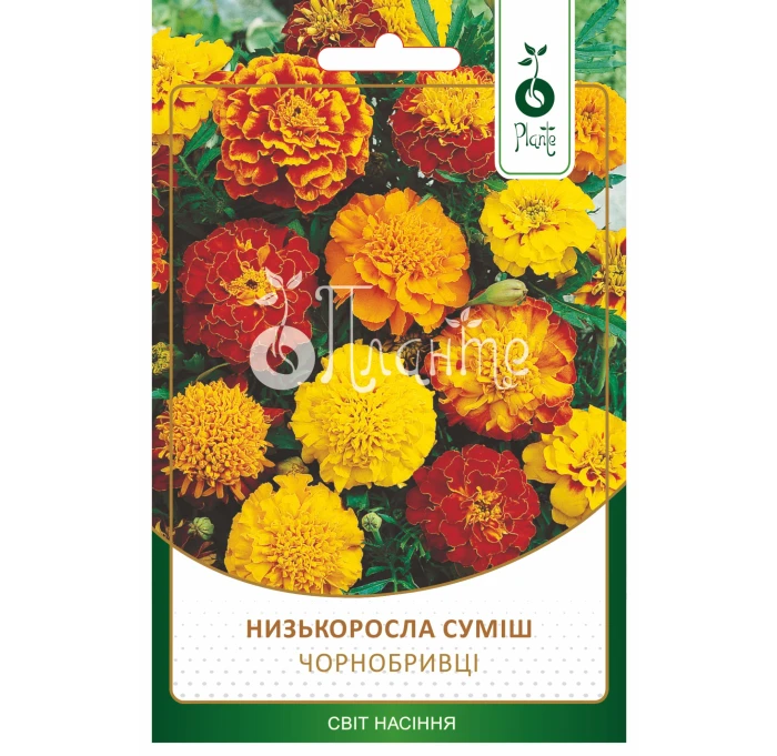 Чорнобривци Низькоросла Сумиш 3г N1500302_1