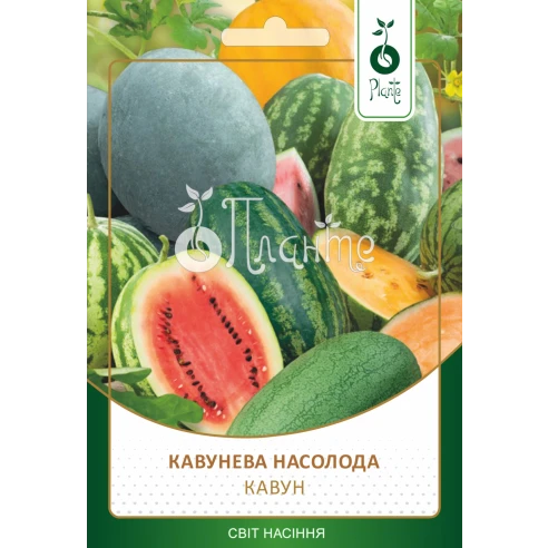 Кавун "Кавунева насолода"