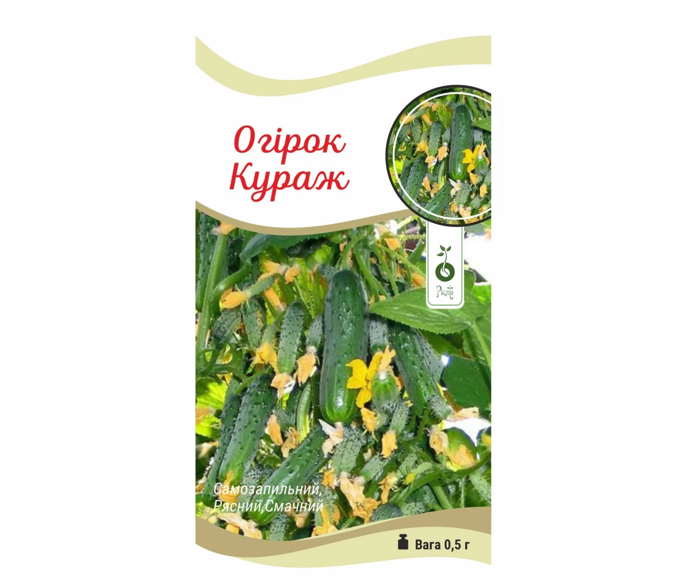 Огірок Кураж (1)