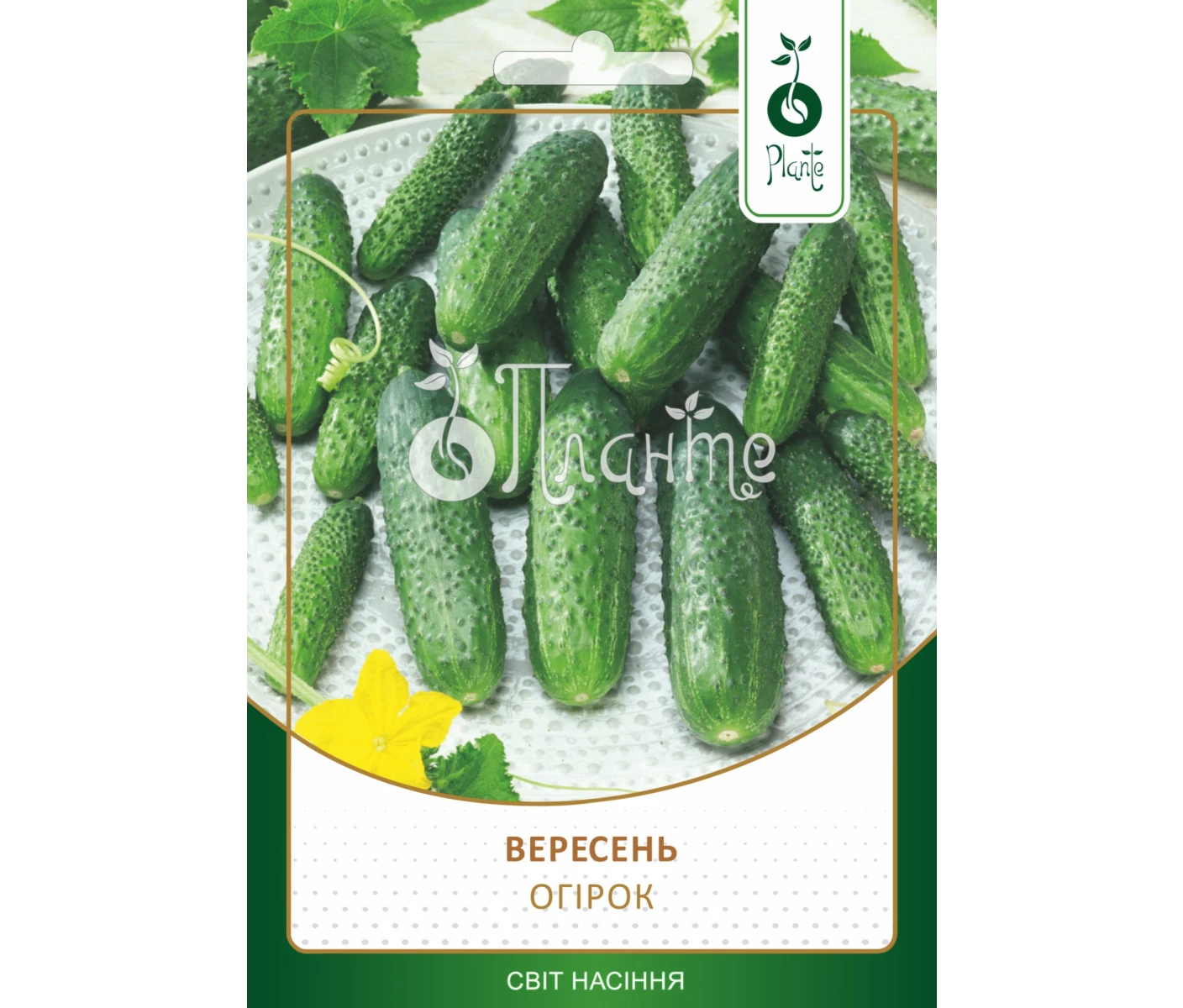 Огірок Вересень 5г