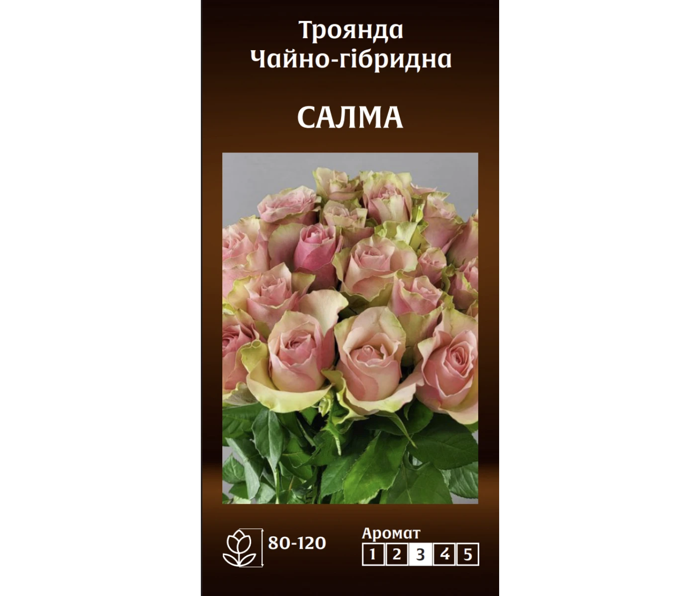 Знімок екрана 2025-03-18 081347
