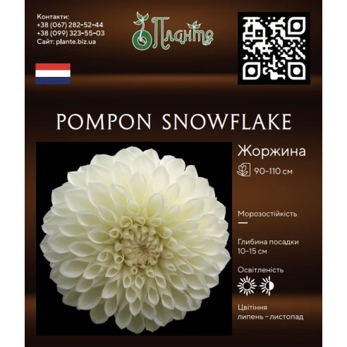 Pompon Snowflake
