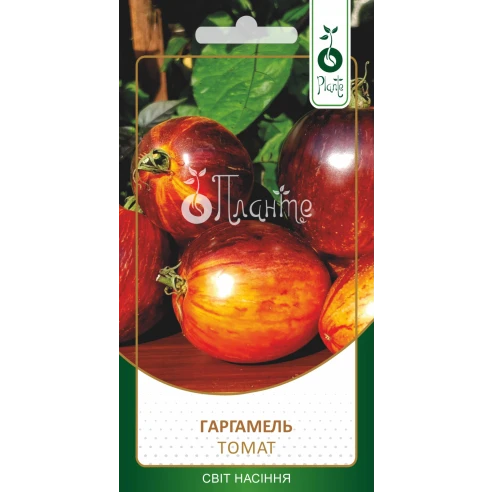 Томат "Гаргамель"
