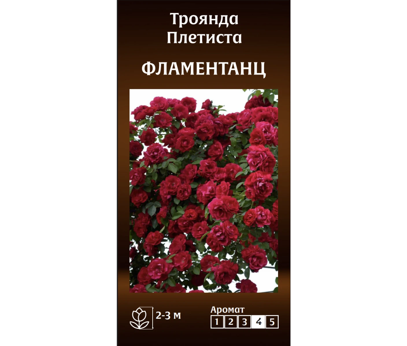 Знімок екрана 2025-03-18 092447