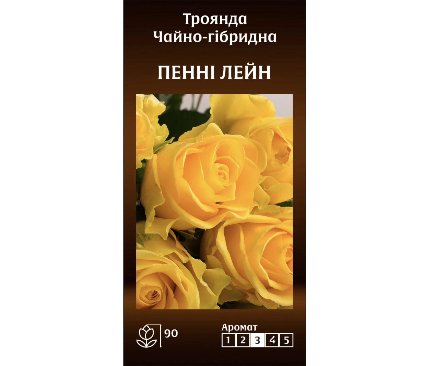 Знімок екрана 2025-03-18 082003