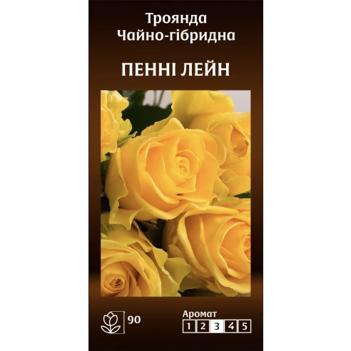 Чайно-Гібридна Пенні Лейн