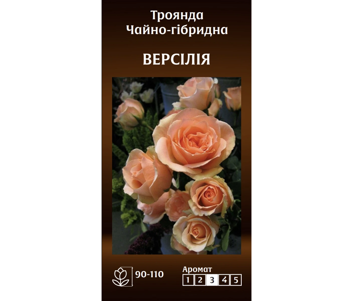 Знімок екрана 2025-03-18 085009