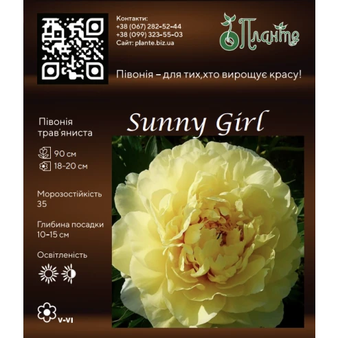 Sunny Girl 3/5