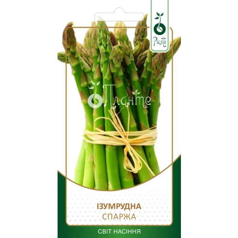 Спаржа "Ізумрудна"