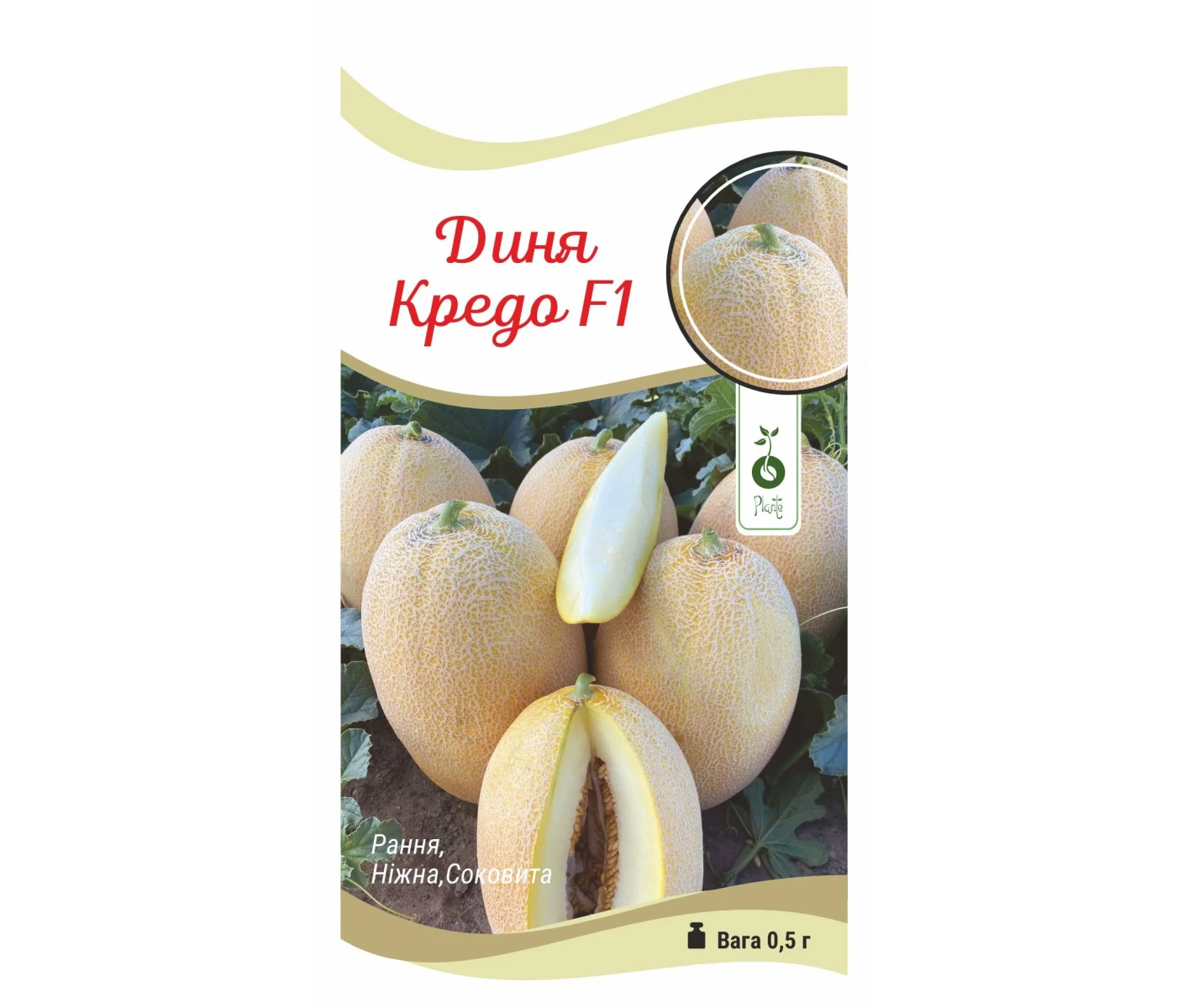 Диня Кредо F1 (2)