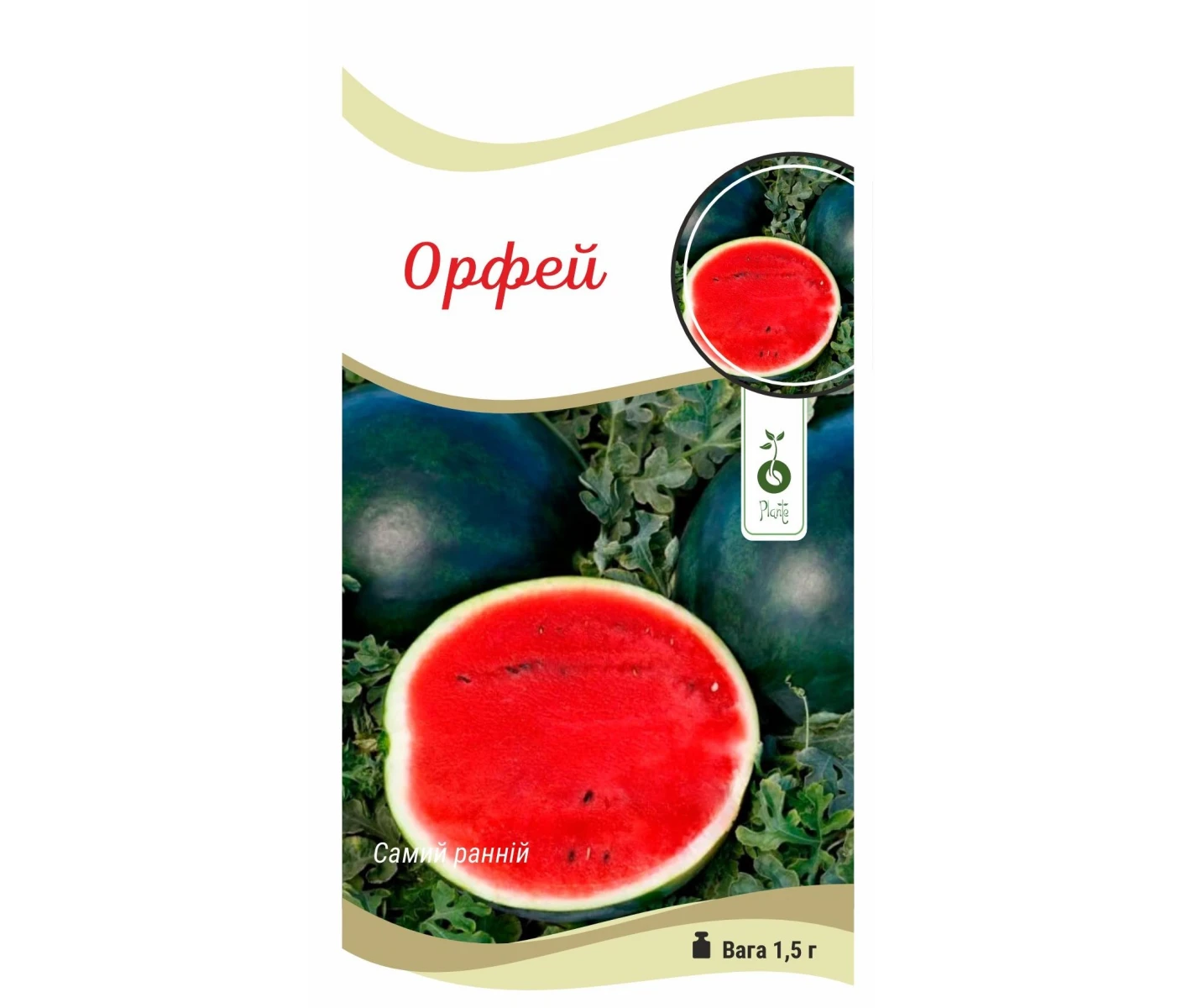 Кавун Орфей (1)