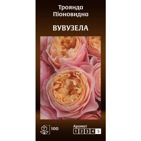 Піоновидна Вувузела