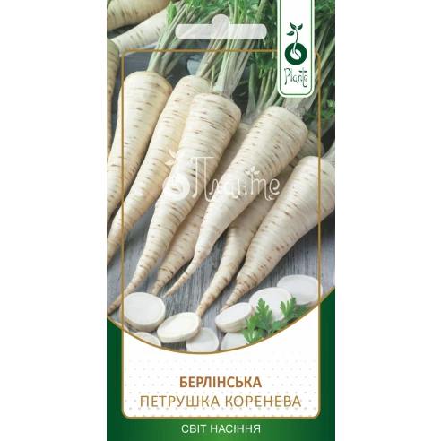 Петрушка коренева "Берлінська"