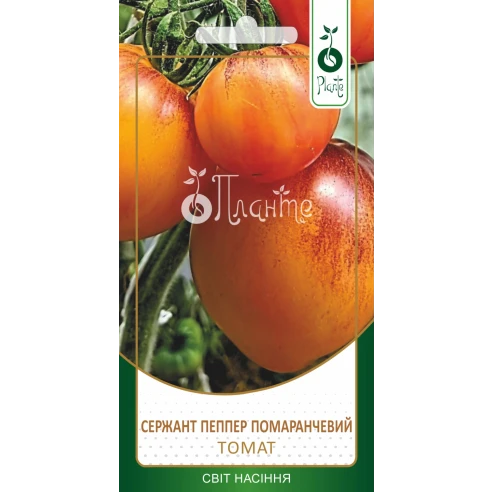 Томат Сержант Пеппер Помаранчевий