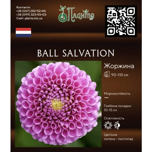 Ball Salvation