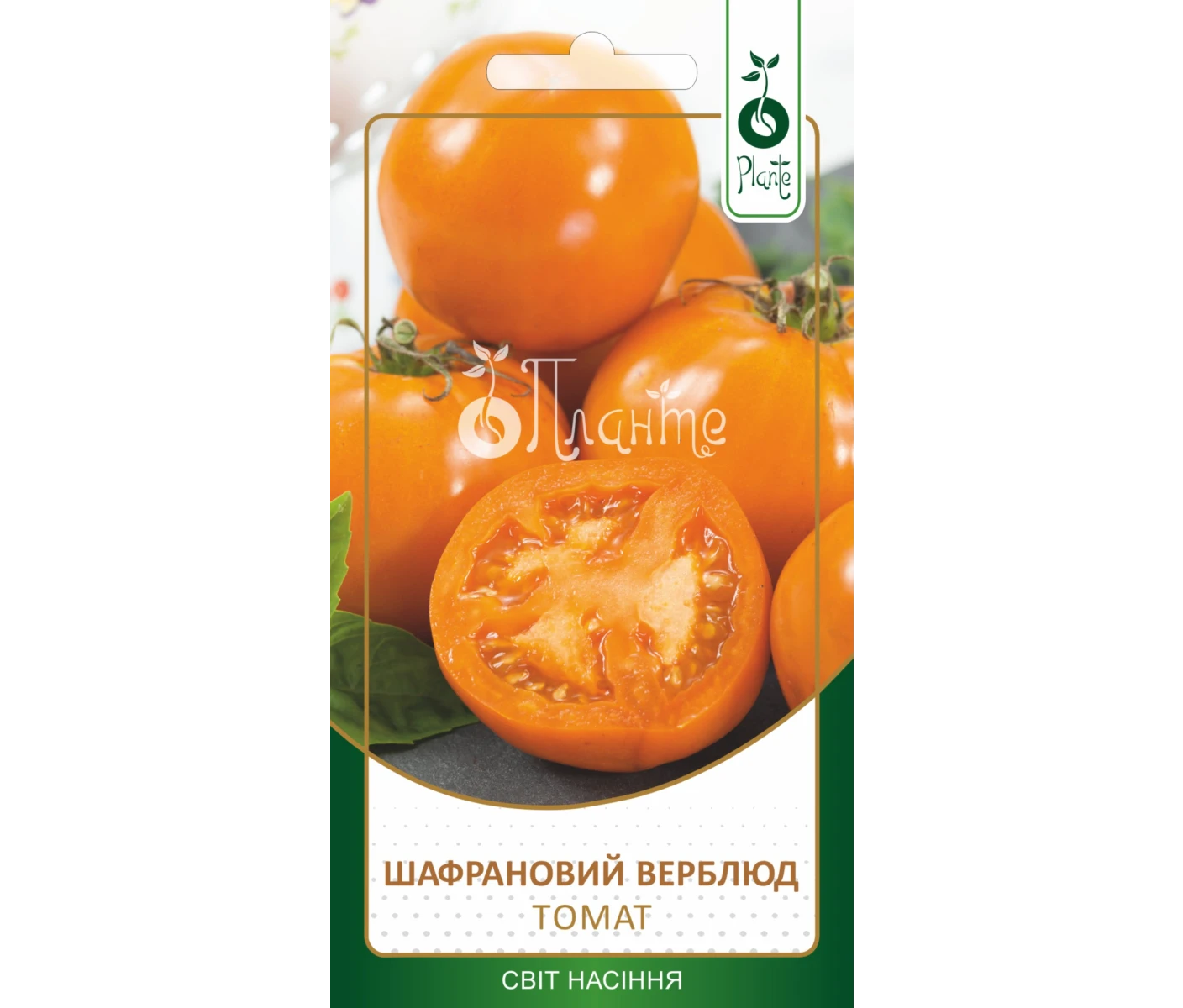 Томат Шарфановий верблюд