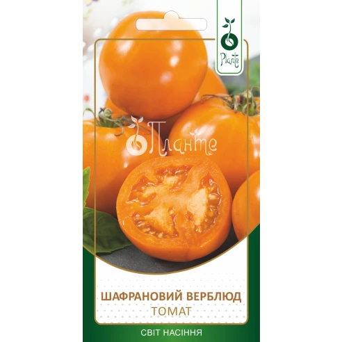 Томат "Шафрановий верблюд"