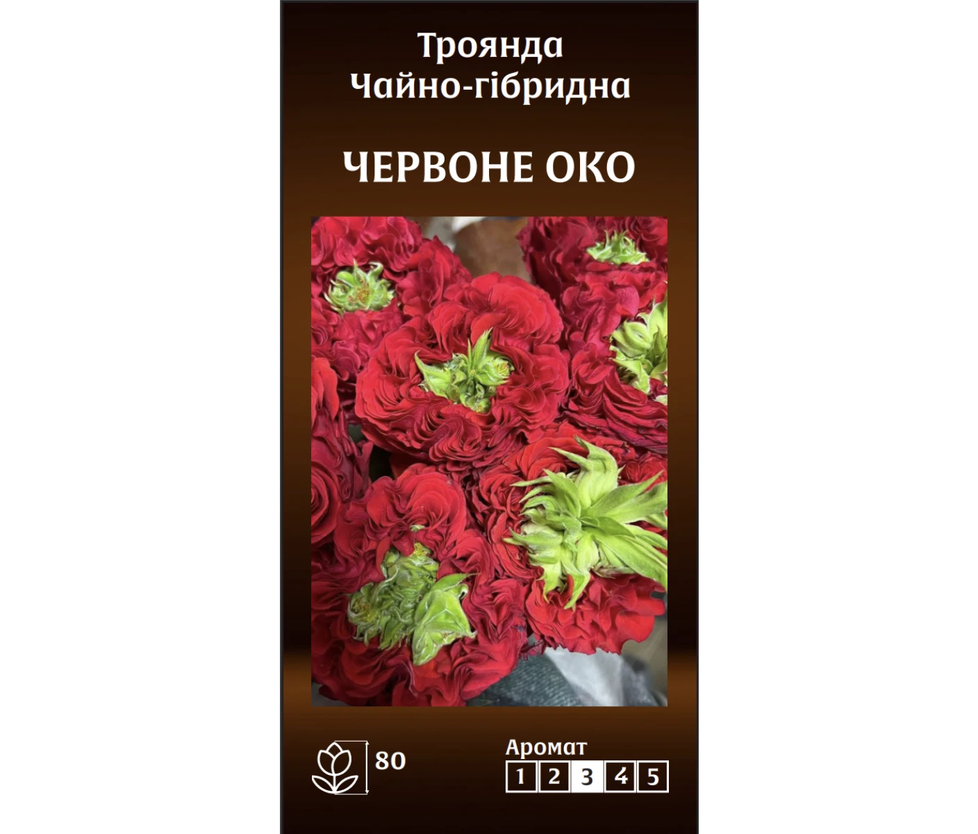 Знімок екрана 2025-03-18 080806