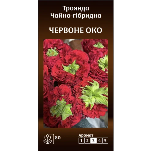 Чайно-Гібридна Червоне Око
