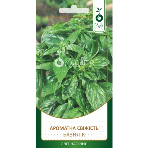 Базилік "Ароматна свіжість"