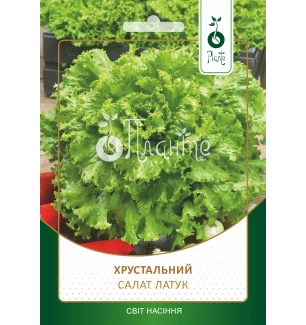 Салат латук "Хрустальний"