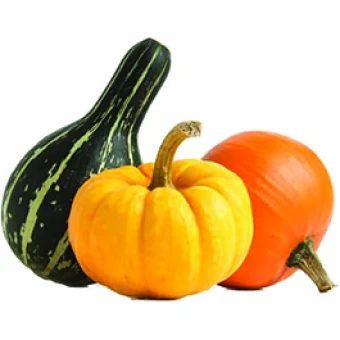 Гарбуз (малий європакет)