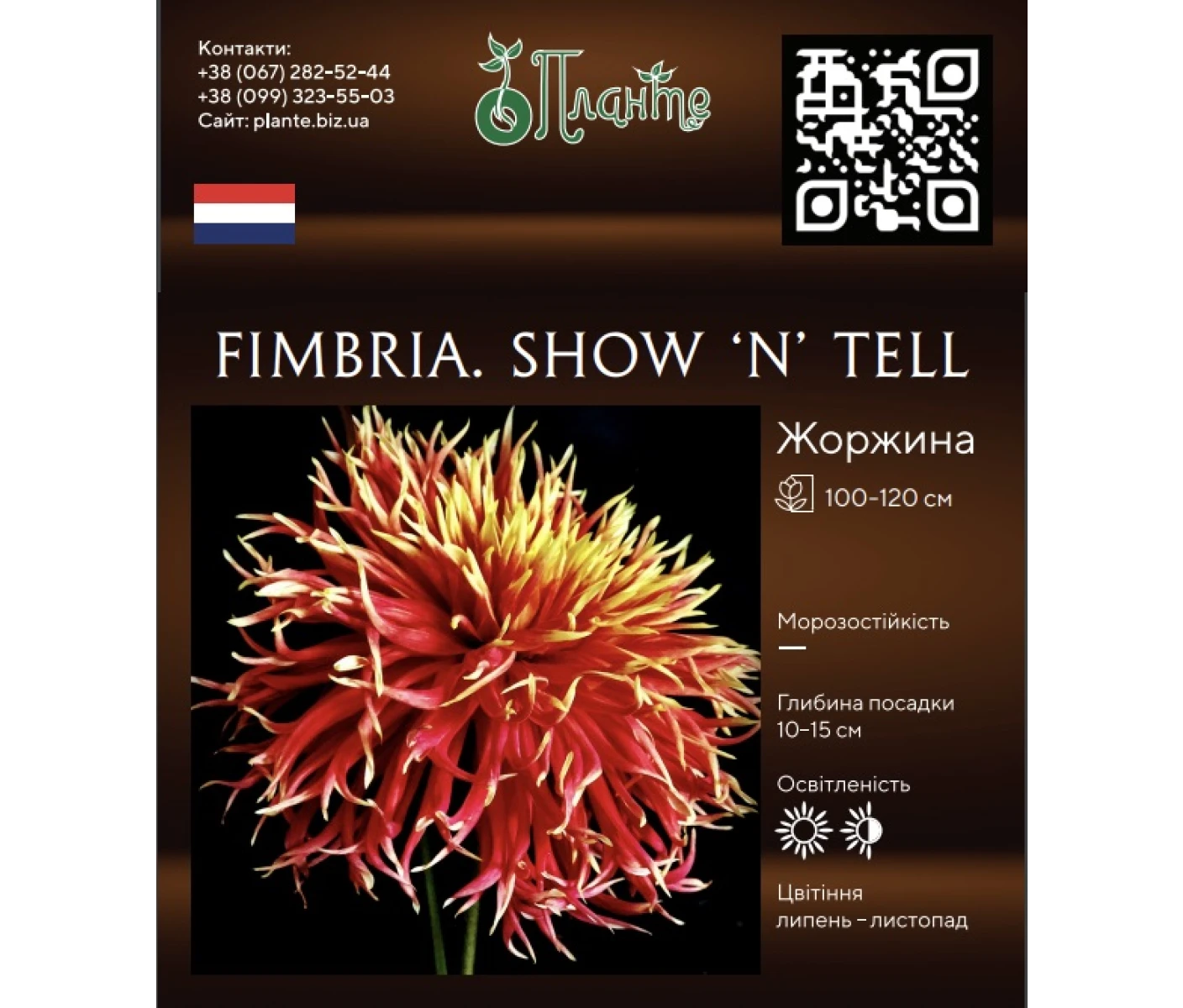Знімок екрана 2025-04-11 204608