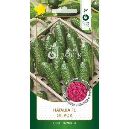 Огірок "Наташа F1" (Інкрустоване)