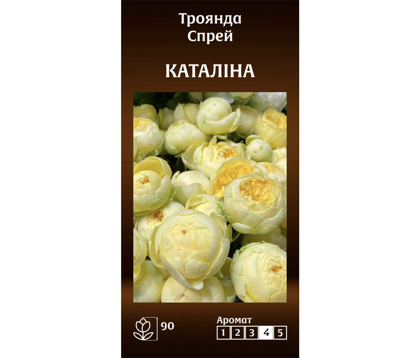 Знімок екрана 2025-03-18 091355