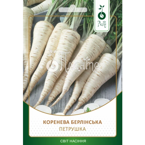 Петрушка "Коренева Берлінська"