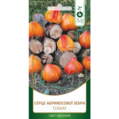Томат Серце Абрикосовоі Зебри