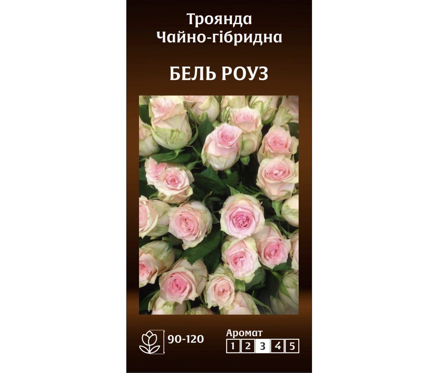 Знімок екрана 2025-03-18 085403
