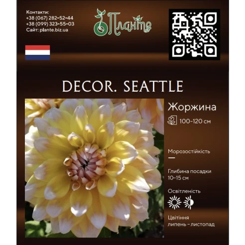 Decor. Seattle