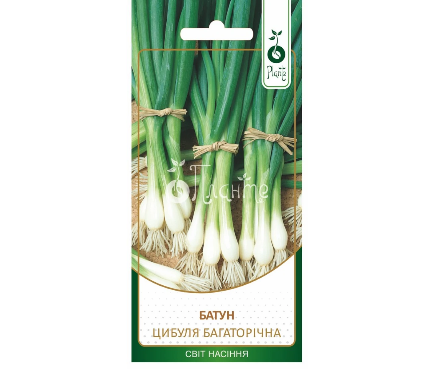 Цибуля Батун