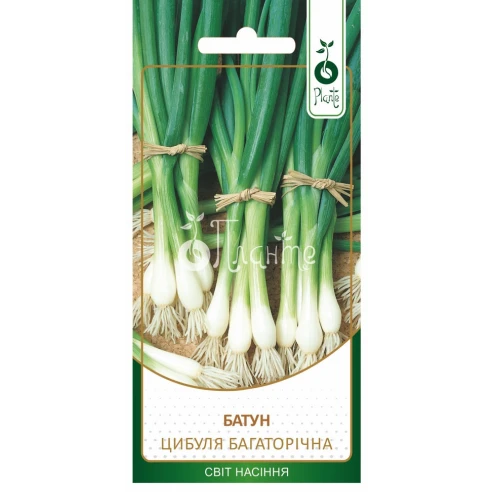 Цибуля багаторічна "Батун"