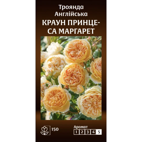 Англійська Краун Принцеса Маргарет