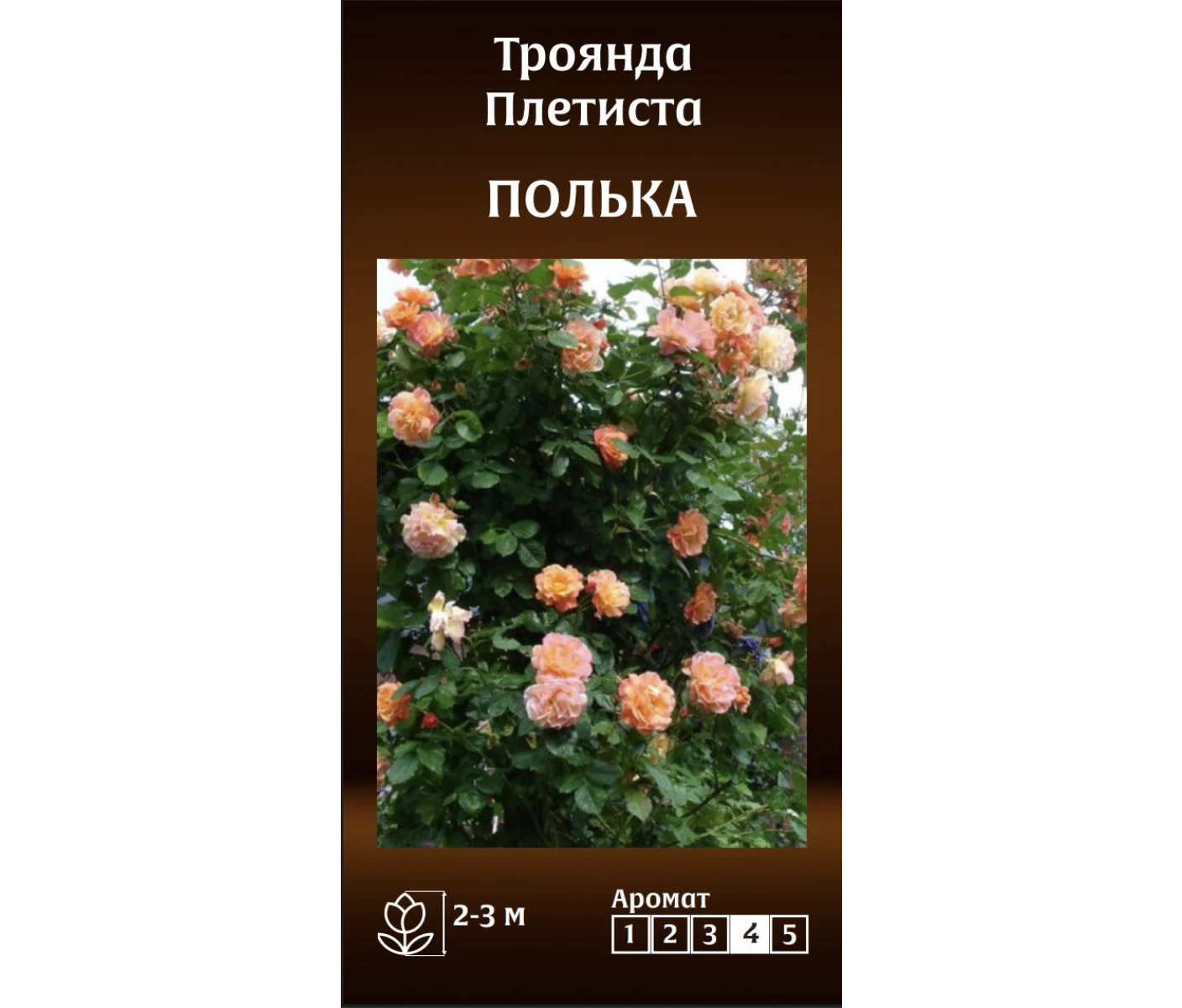 Знімок екрана 2025-03-18 092715