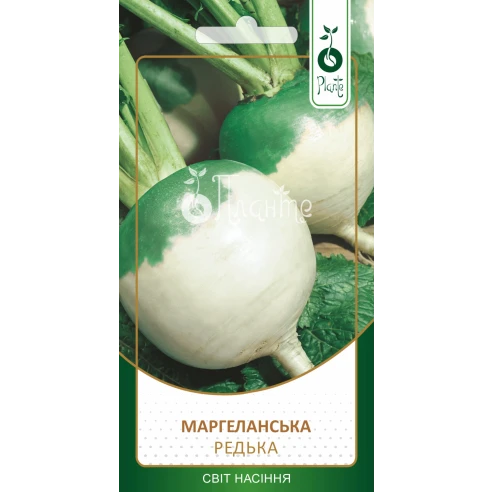 Редька "Маргеланська"