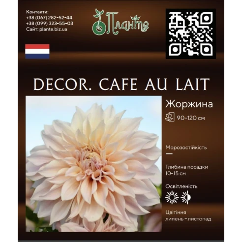 Decor. Café au Lait